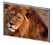 15-inch LCD Screens