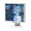 Image for product NEC:LCD2070NX-R