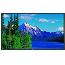 Image for product NEC:LCD4020-BK-AVT-R