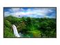 Image for product NEC:P461-AVT-R