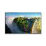 Image for product NEC:P551-AVT-R