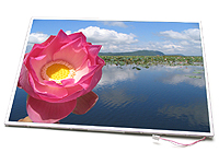 Image for product AUO:B156XW02-V2